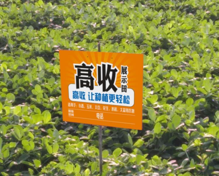趣体育- 阿尔特塔轮换策略收奇效  
